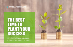Read more about the article THE BEST TIME TO PLANT YOUR SUCCESS IS IT NOW? OR NEXT TIME