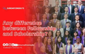 Read more about the article Any difference between Fellowship and Scholarship