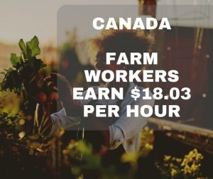 Read more about the article Canada FarmWorkers – Salary $18.00 Per Hour Apply Now