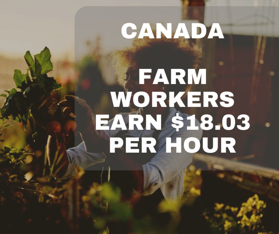 You are currently viewing Canada FarmWorkers – Salary $18.00 Per Hour Apply Now