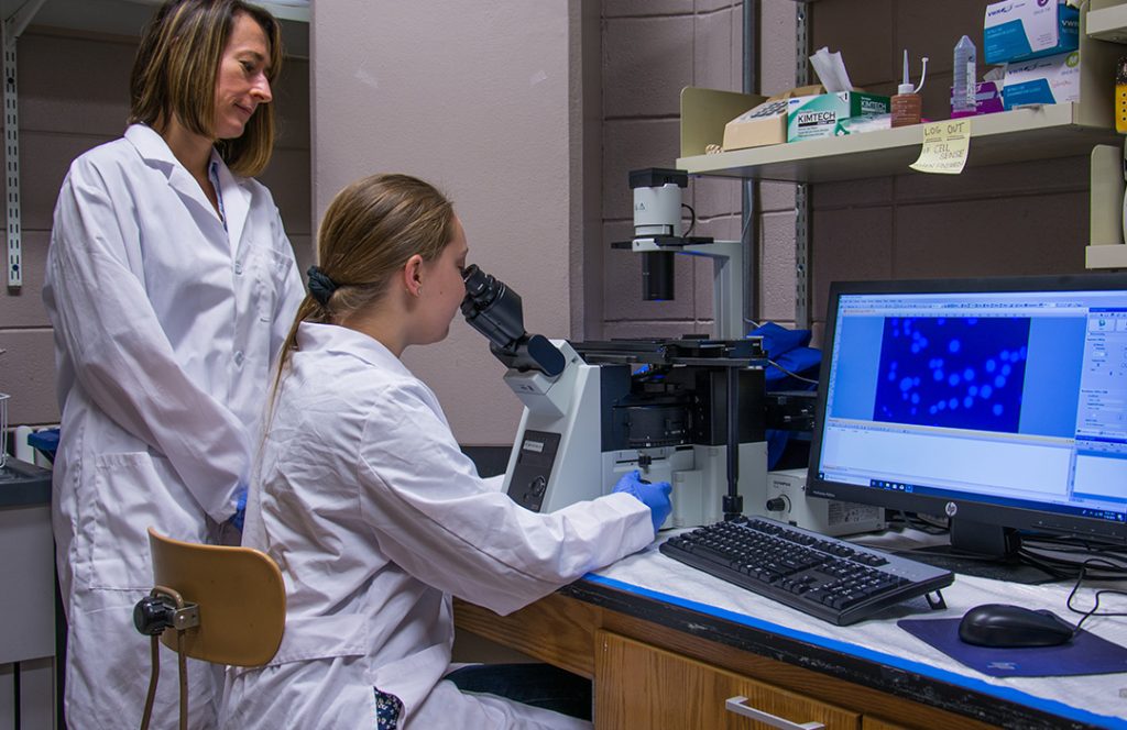 Fully Funded Postdoctoral Researchers