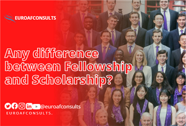Difference between Fellowship and Scholarship